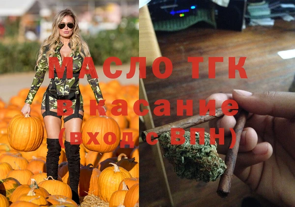 дмт Инсар