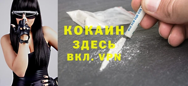 СК Инта