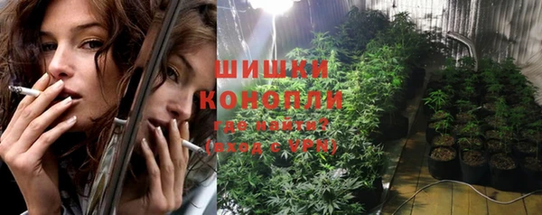 дмт Инсар