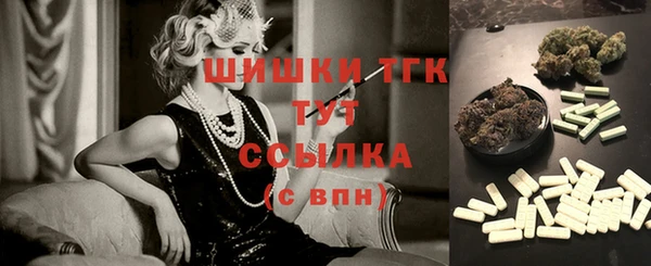 дмт Инсар