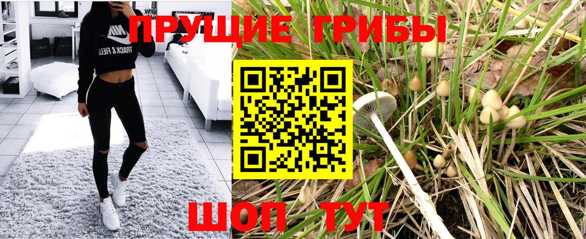Галлюциногенные грибы мухоморы  Вход с VPN  Тверь  Псилоцибиновые грибы GOLDEN TEACHER 